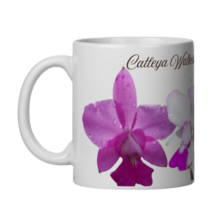 Nome do produto Caneca C.Walkeriana