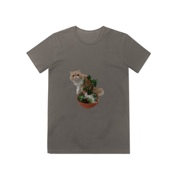 Baby Long Estonada cat 01