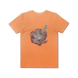 Nome do produto T-Shirt Estonada 1125