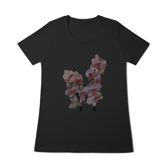 Baby Long Quality orquidea 01