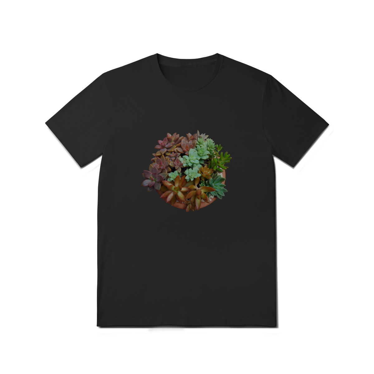 T-Shirt Quality Jardim 01