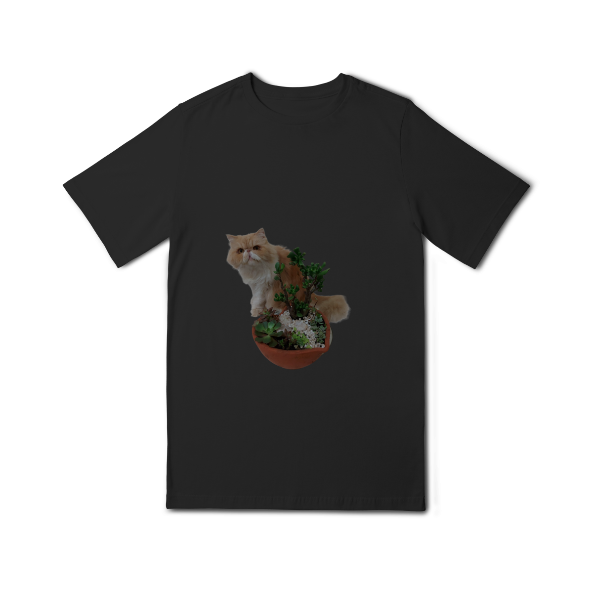 Quality Infantil (10 a 14) cat 01