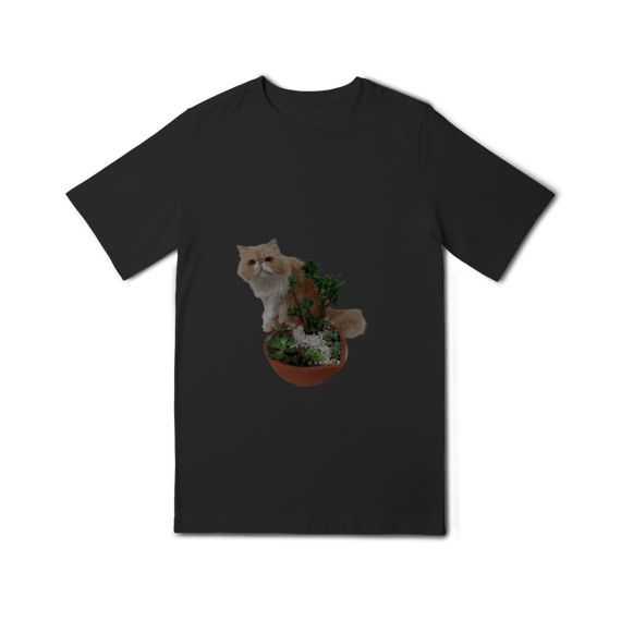 Quality Infantil (10 a 14) cat 01