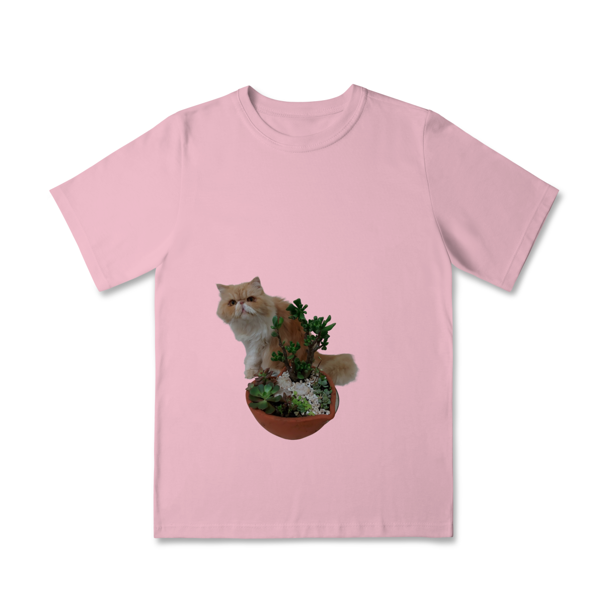 Classic Infantil cat 01
