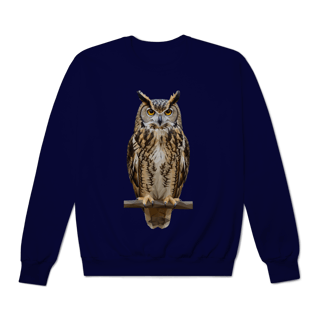 Moletom Coruja Colors