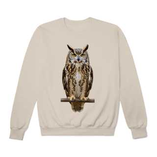 Nome do produto Moletom Coruja Colors