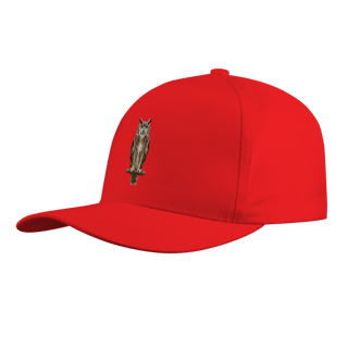 Nome do produto Bone Coruja Colors