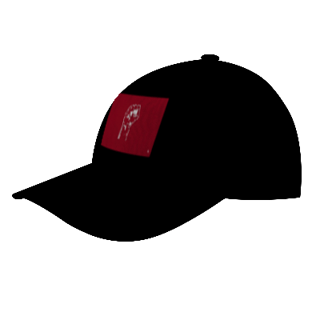 Nome do produto Campanha de Bonés: 