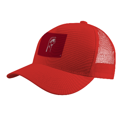 Nome do produto: Campanha de Bonés: \