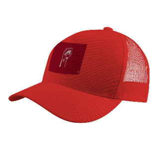 Nome do produto Campanha de Bonés: 