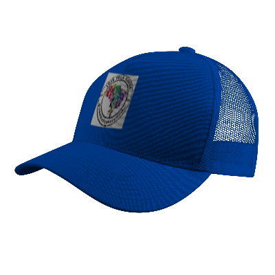 Nome do produto: Campanha de Bonés: \