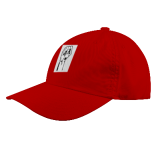 Nome do produto Campanha de Bonés: 