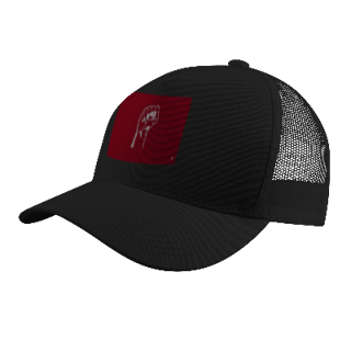 Nome do produto Campanha de Bonés: 