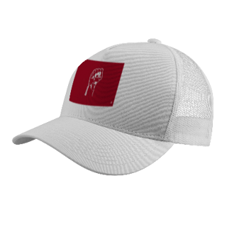 Nome do produto Campanha de Bonés: 