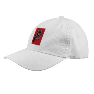 Nome do produto Campanha de Bonés: 