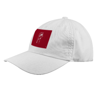 Nome do produto Campanha de Bonés: 