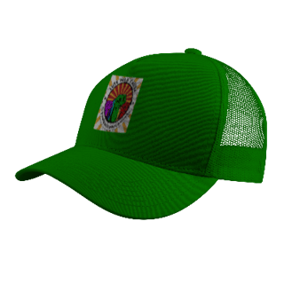 Nome do produto Campanha de Bonés: 