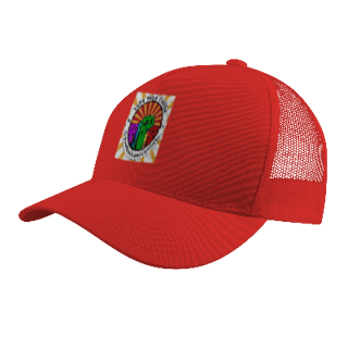 Nome do produto Campanha de Bonés: 