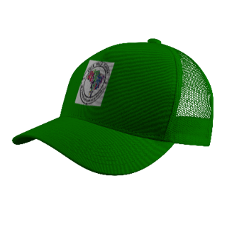 Nome do produto Campanha de Bonés: 