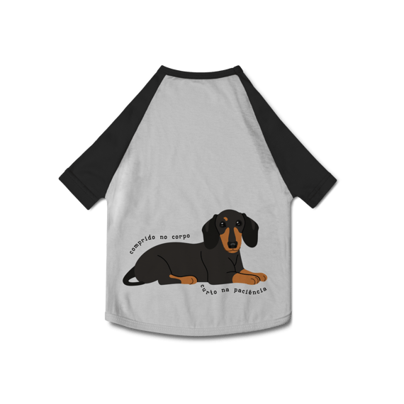 Dachshund- Comprido no corpo, curto na paciência
