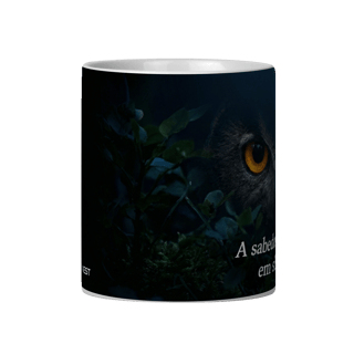 Nome do produtoSabedoria e Silêncio