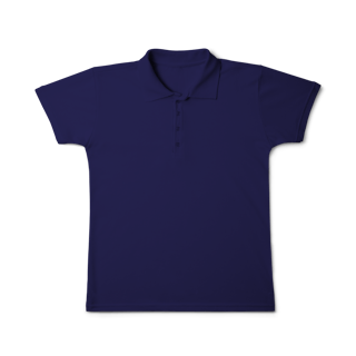 Nome do produto Camisa Polo Feminina - Karol Ganda