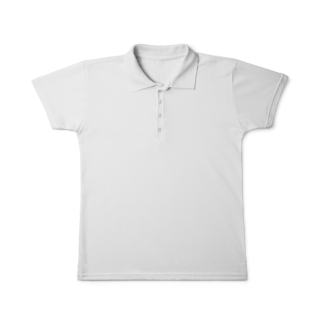 Nome do produto Camisa Polo Feminina - Karol Ganda