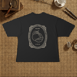 Nome do produto Camiseta Oversized - Fruto do Espírito