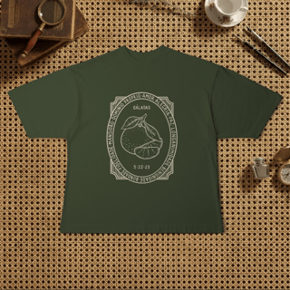 Nome do produto Camiseta Oversized - Fruto do Espírito