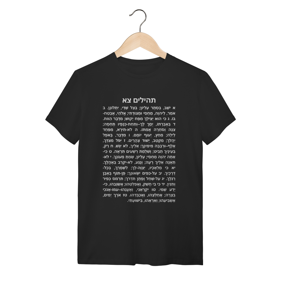 Nome do produto: Camiseta Salmo 91 em Hebraico: A Proteção Original – Edição Especial