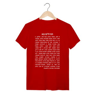 Nome do produto Camiseta Salmo 91 em Hebraico: A Proteção Original – Edição Especial