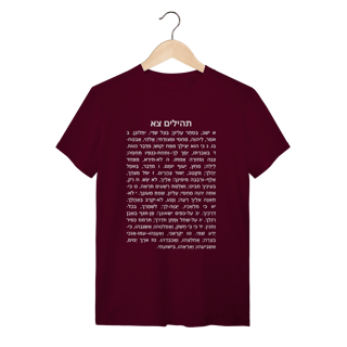 Nome do produto Camiseta Salmo 91 em Hebraico: A Proteção Original – Edição Especial
