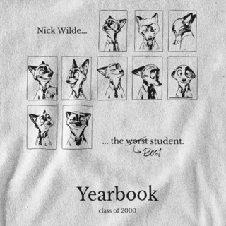 Camiseta ALUNO DO ANO