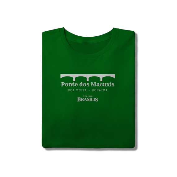 Ponte dos Macuxis - Boa Vista - Roraima