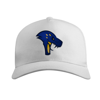 Nome do produto Bone Telado - Mascote Cobras