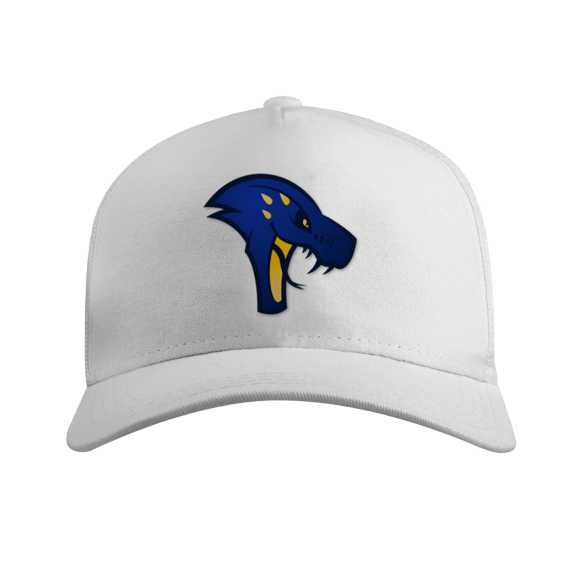 Bone Telado - Mascote Cobras