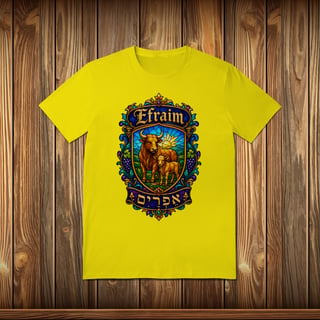 Nome do produto T-Shirt Quality - EFRAIM