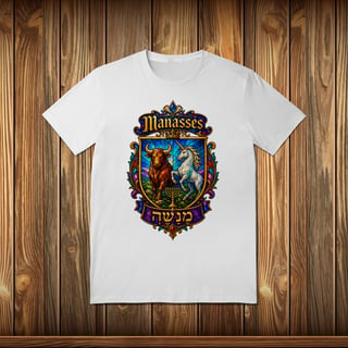 Nome do produto T-Shirt Quality - MANASSÉS