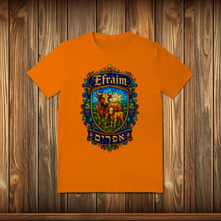 Nome do produto T-Shirt Quality - EFRAIM