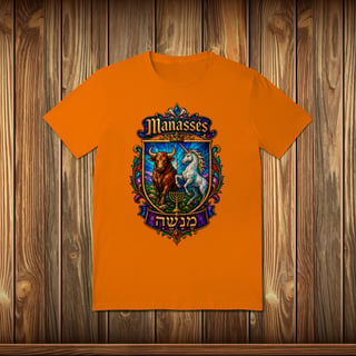 Nome do produto T-Shirt Quality - MANASSÉS