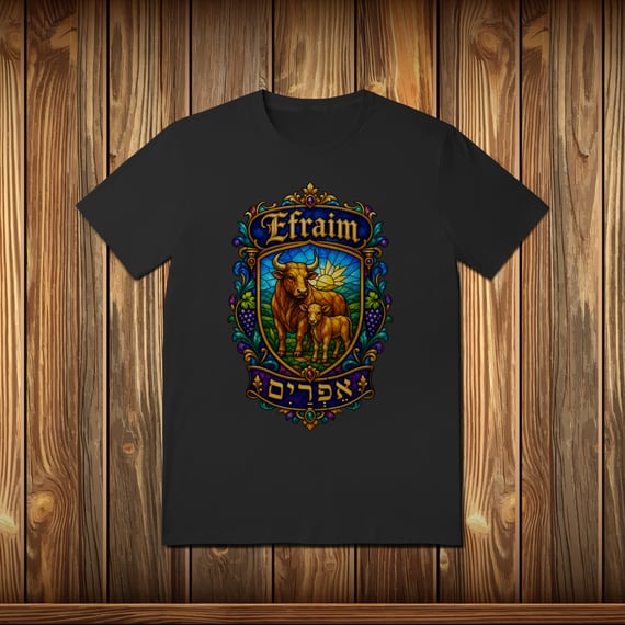 T-Shirt Quality - EFRAIM