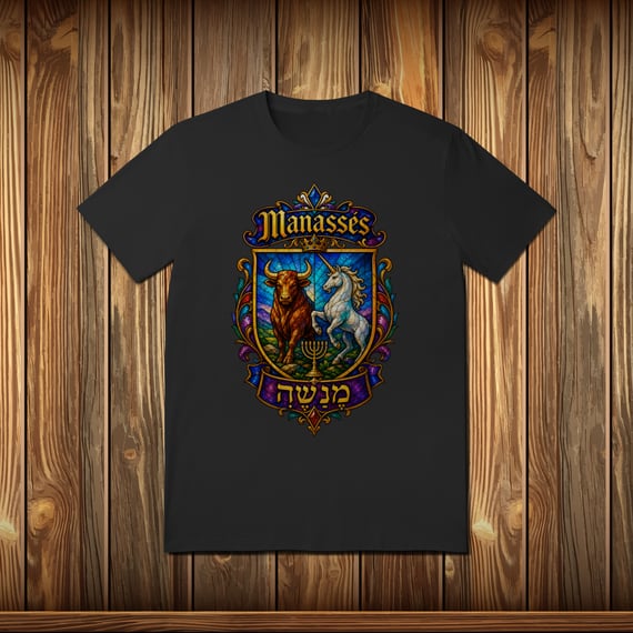 T-Shirt Quality - MANASSÉS