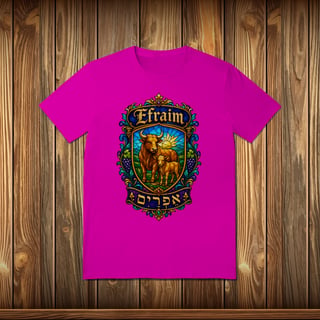 Nome do produto T-Shirt Quality - EFRAIM