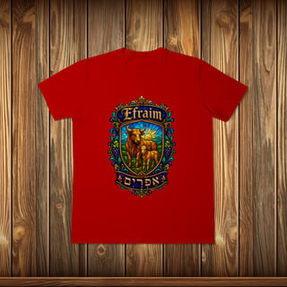 Nome do produto T-Shirt Classic - EFRAIM