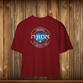 Nome do produto Oversized - EMUNAH - LOGO