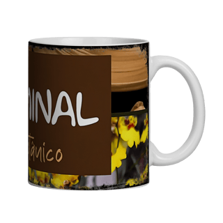 Nome do produto Caneca Ceramica Ateliê Botânico - 01