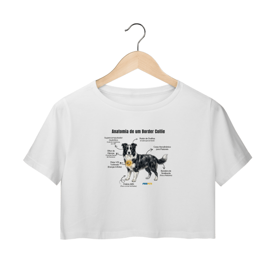 Cropped Border Collie #anatomias