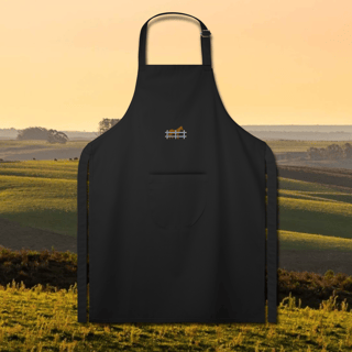 Pampa Luz — Fogo de Estância