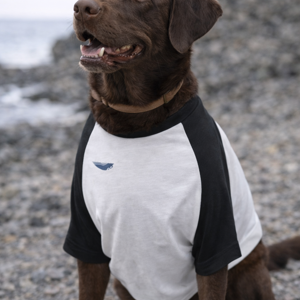 Nome do produto: Pet Deep Trail