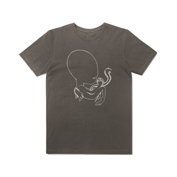 [Estonada] SIGUR RÓS